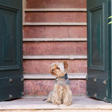 Teichnersuite Ρώμη